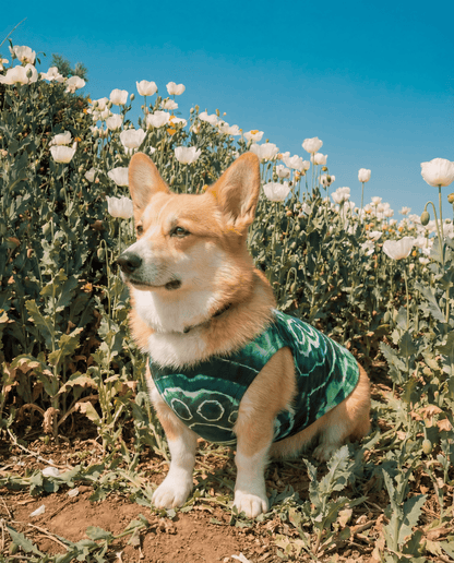 PAW GREEN TIE DYE DOG TANK TOP ALL OVER PRINT - TYQY0501262